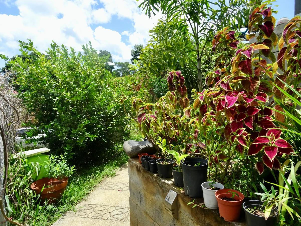 Bungalow Dourou Deshaies Dış mekan fotoğraf